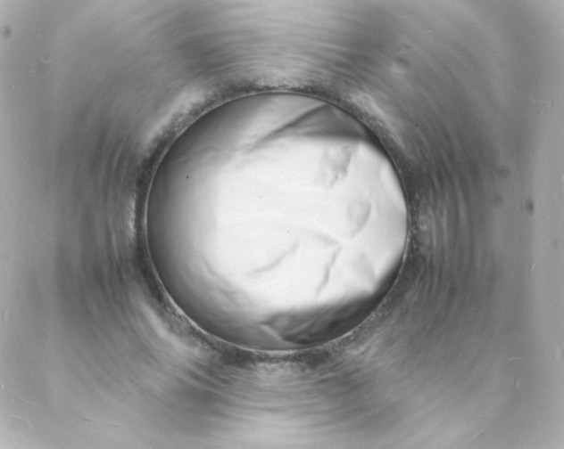 X0000088130686200705291333