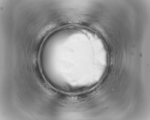 X0000088130687200705291333