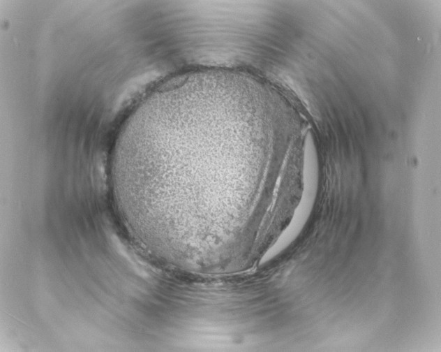 X0000088130688200705291333