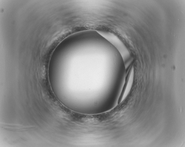 X0000088130689200705291333