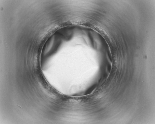 X0000088130690200705291333