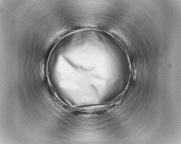 X0000088130692200705291333