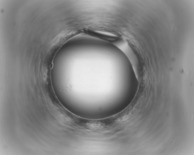 X0000088130693200705291333