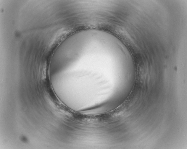 X0000088130694200705291333