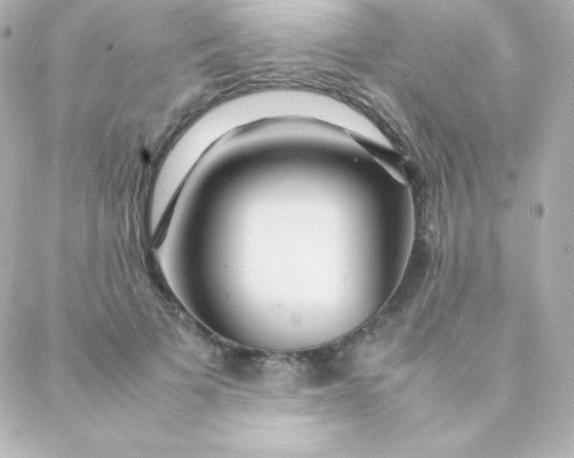 X0000088130697200705291333