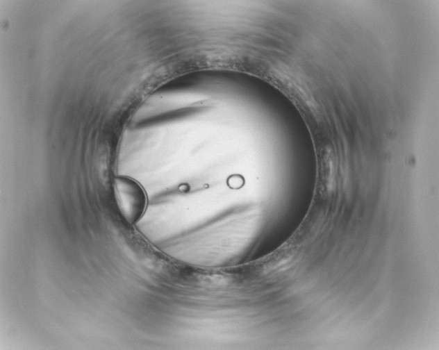 X0000088130698200705291333