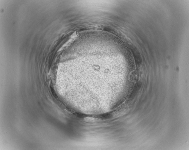 X0000088130699200705291333