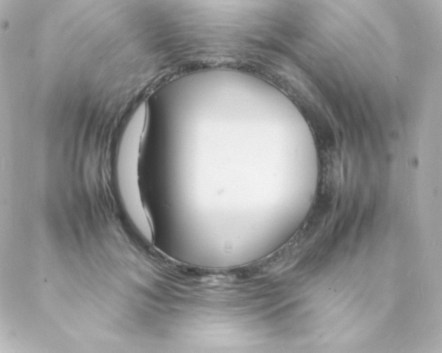 X0000088130700200705291333