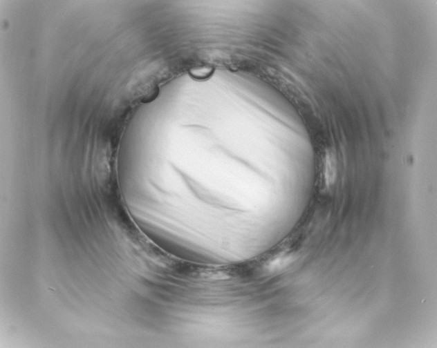 X0000088130702200705291333