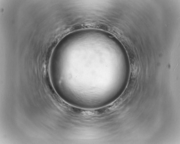 X0000088130703200705291333