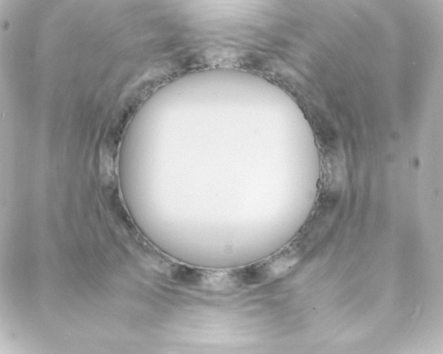 X0000088130705200705291333