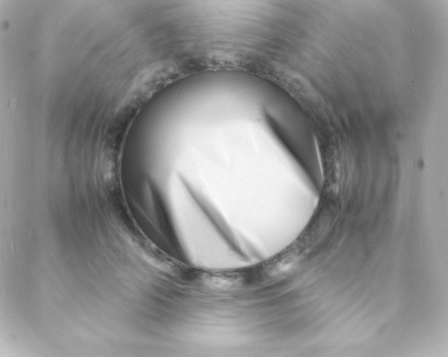 X0000088130706200705291333