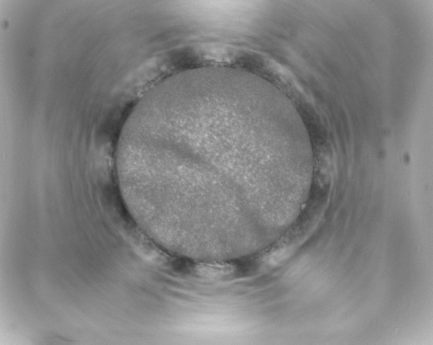 X0000088130707200705291333