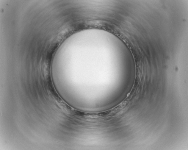 X0000088130708200705291333