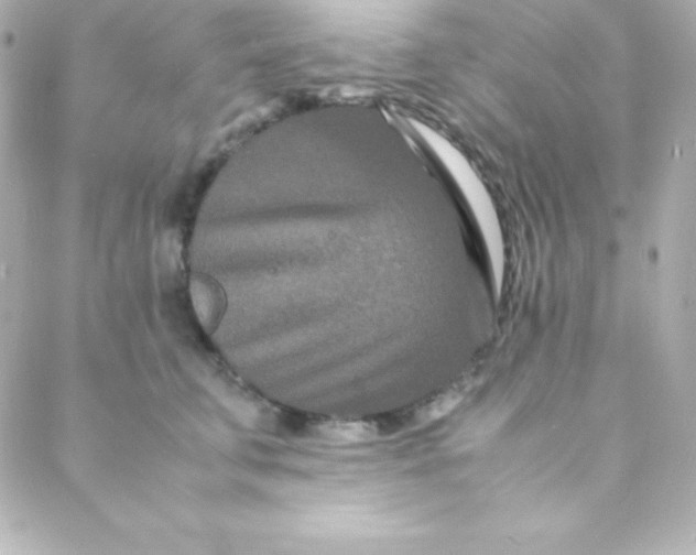 X0000088130711200705291333