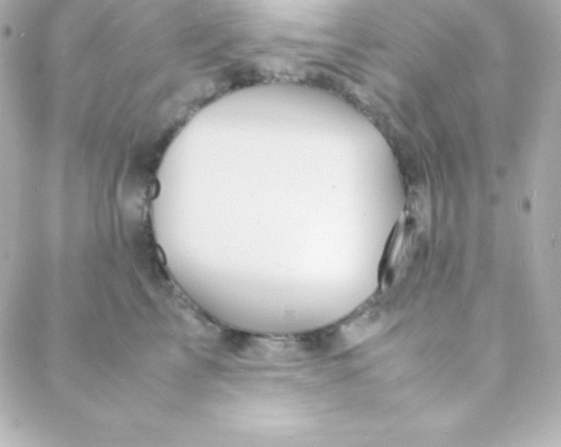 X0000088130713200705291333