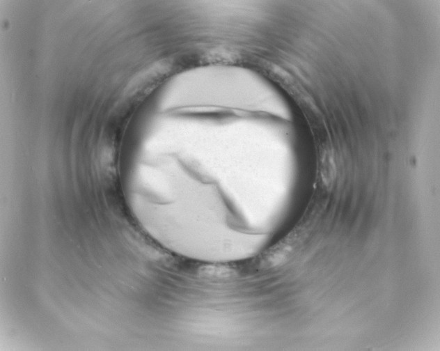 X0000088130714200705291333