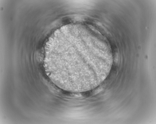 X0000088130715200705291333