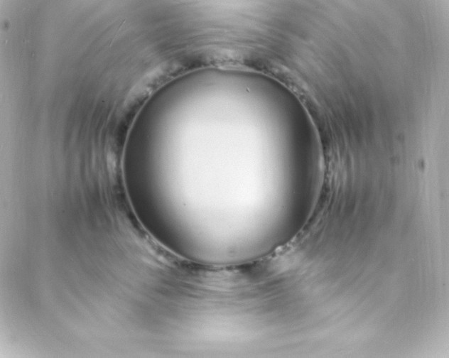 X0000088130716200705291333