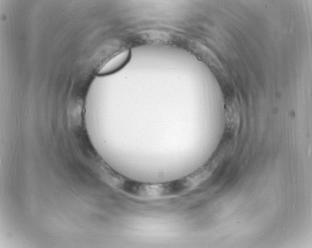 X0000088130717200705291333