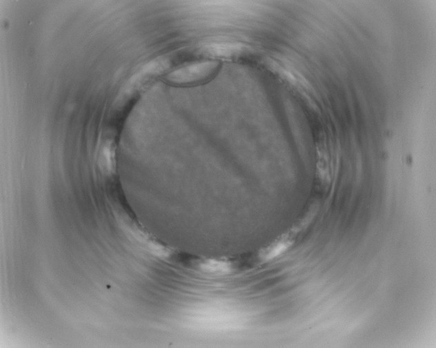 X0000088130718200705291333