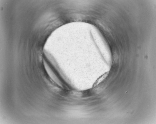 X0000088130719200705291333