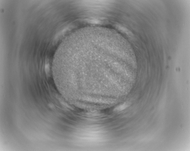 X0000088130720200705291333