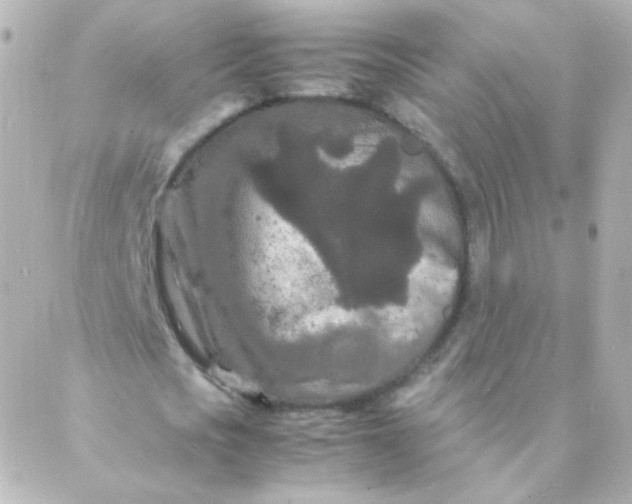 X0000088130721200705291332