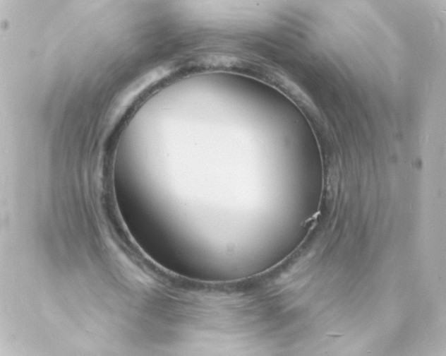 X0000088130722200705291332