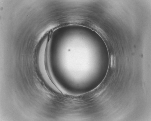 X0000088130723200705291332