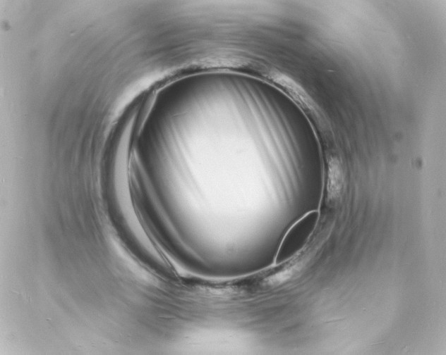 X0000088130726200705291332