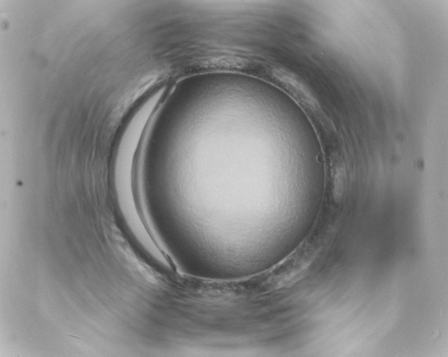 X0000088130729200705291332