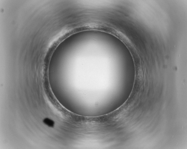 X0000088130730200705291332