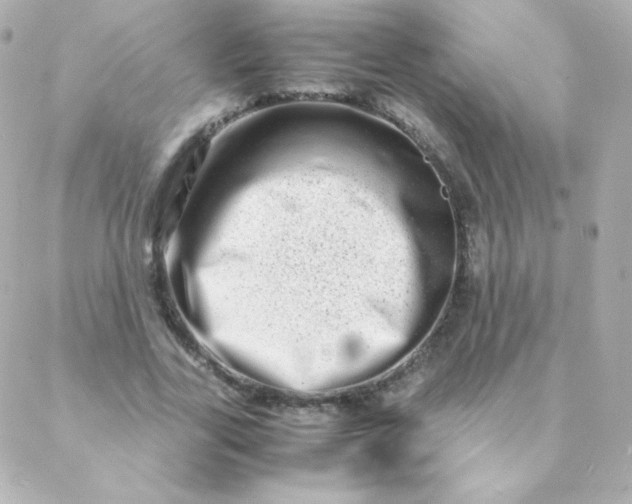 X0000088130731200705291332