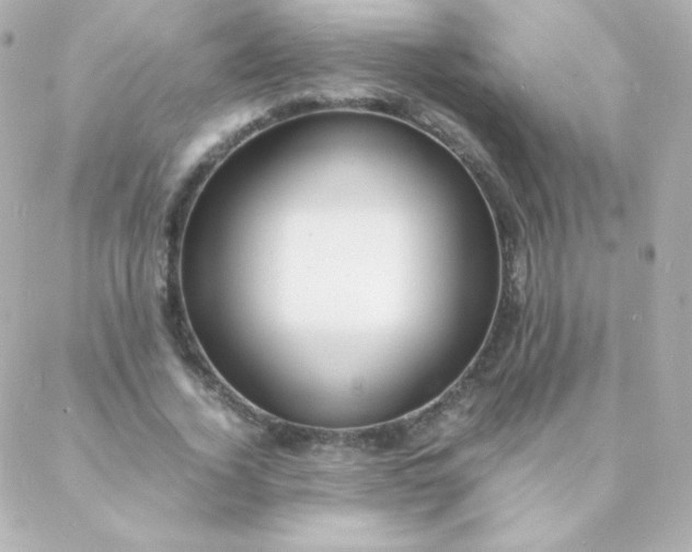 X0000088130732200705291332