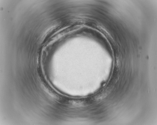 X0000088130733200705291332