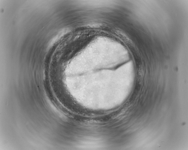 X0000088130734200705291332