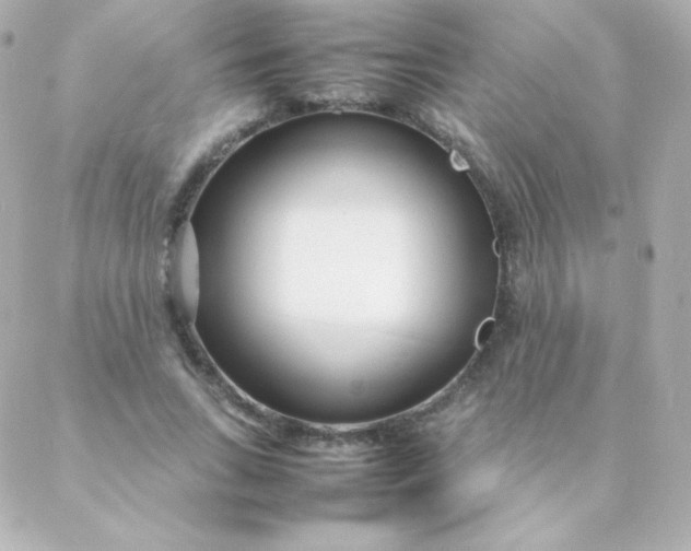 X0000088130735200705291332