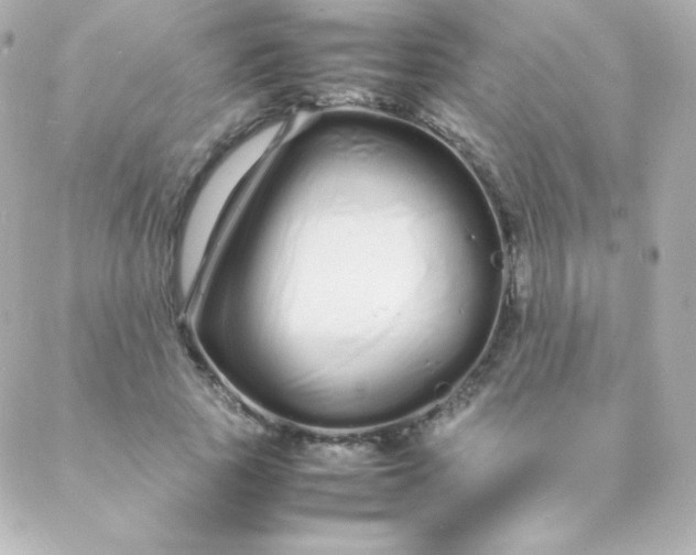 X0000088130737200705291332