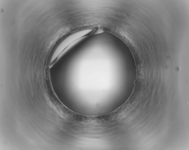 X0000088130738200705291332