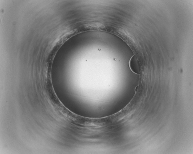 X0000088130739200705291332