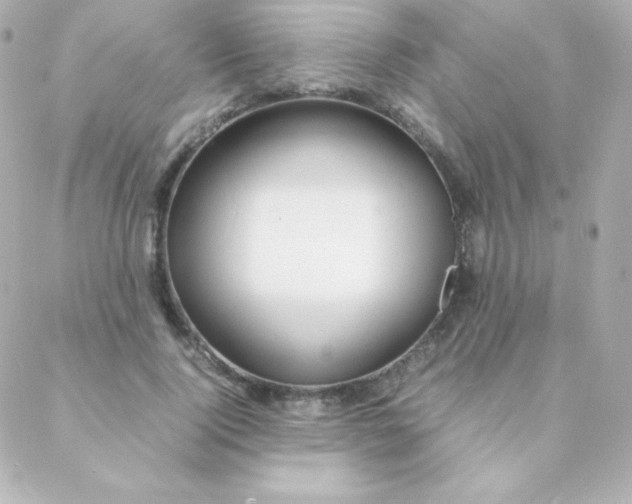 X0000088130740200705291332