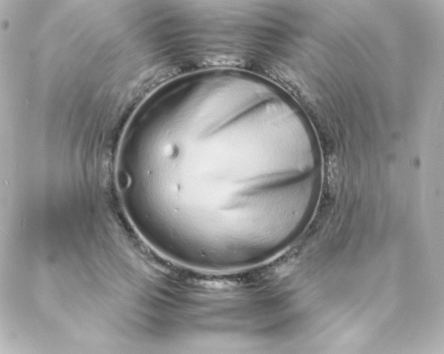 X0000088130741200705291332