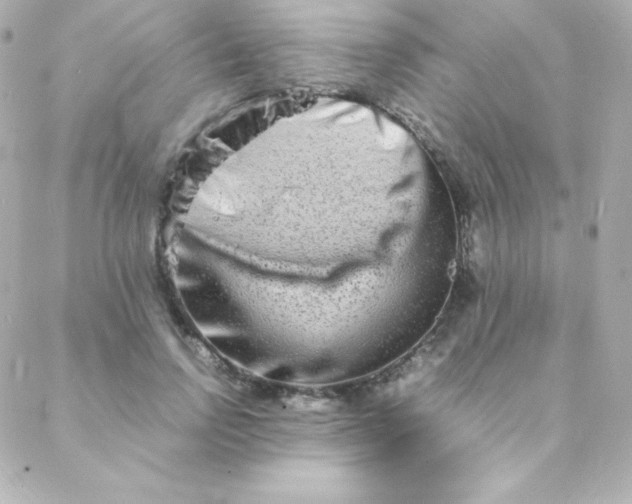 X0000088130742200705291332