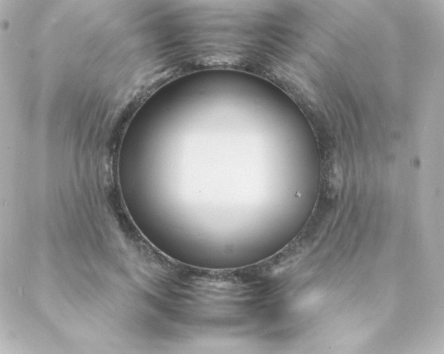 X0000088130743200705291332