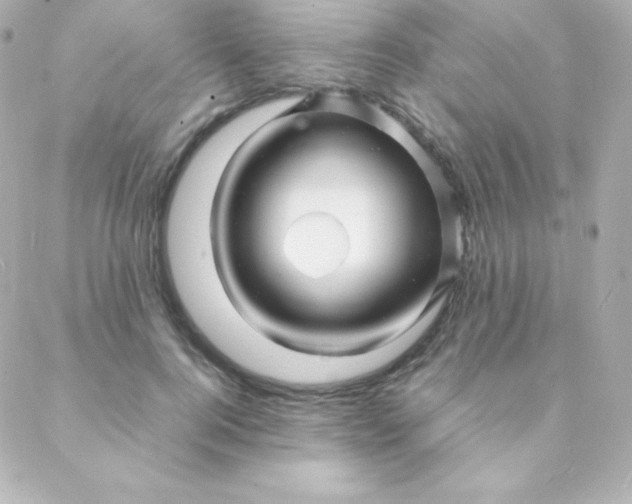 X0000088130744200705291332