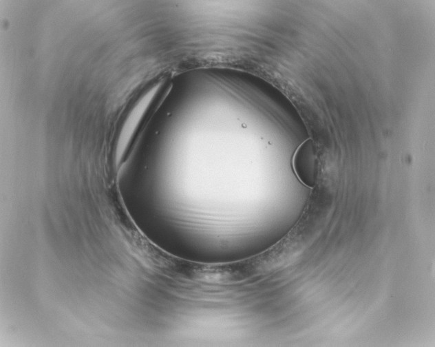 X0000088130746200705291332