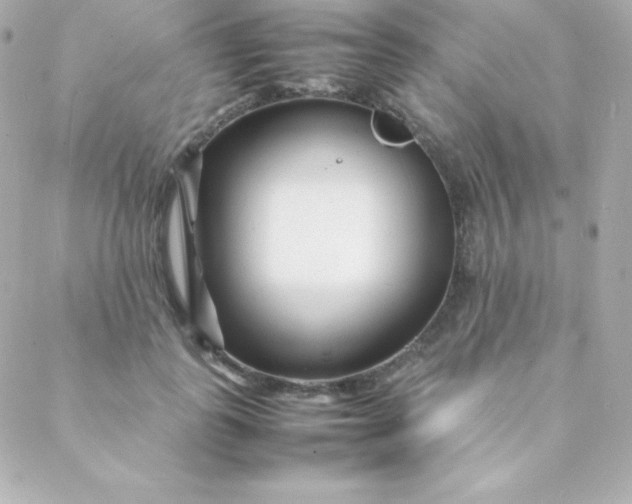 X0000088130747200705291332