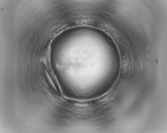 X0000088130749200705291332