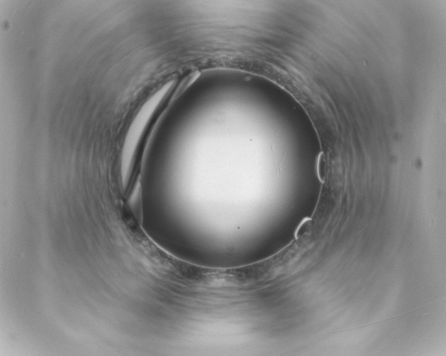 X0000088130750200705291332